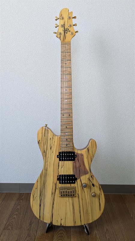 Sugi DS496 SPT/TT/HardTailの画像